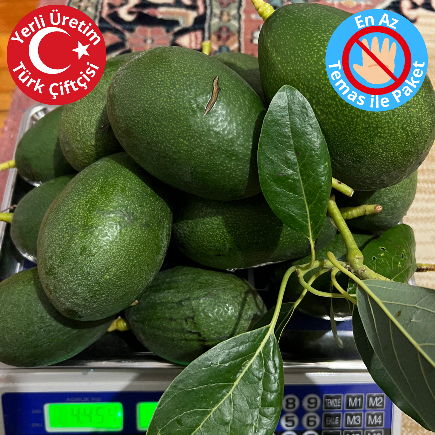 Premium Yerli Avokado 270-340 gr