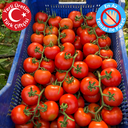 Premium Dalından Salkım Domates
