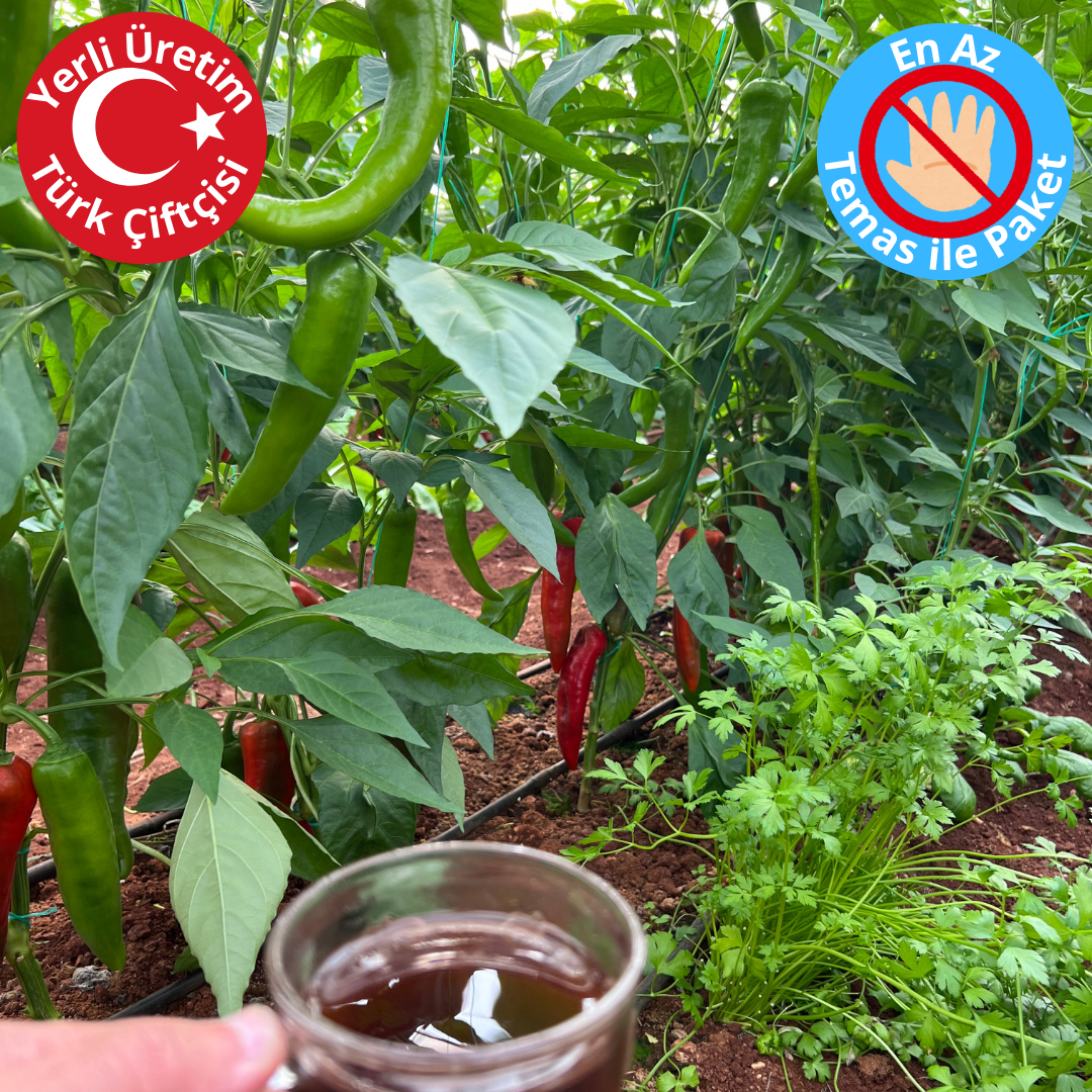 Premium Dalından Kırmızı Kapya Biber