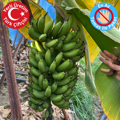 10 ad avok - 1 kg muz - 2 kg port - 1 kg lim