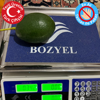 Premium Yerli Avokado 270-340 gr
