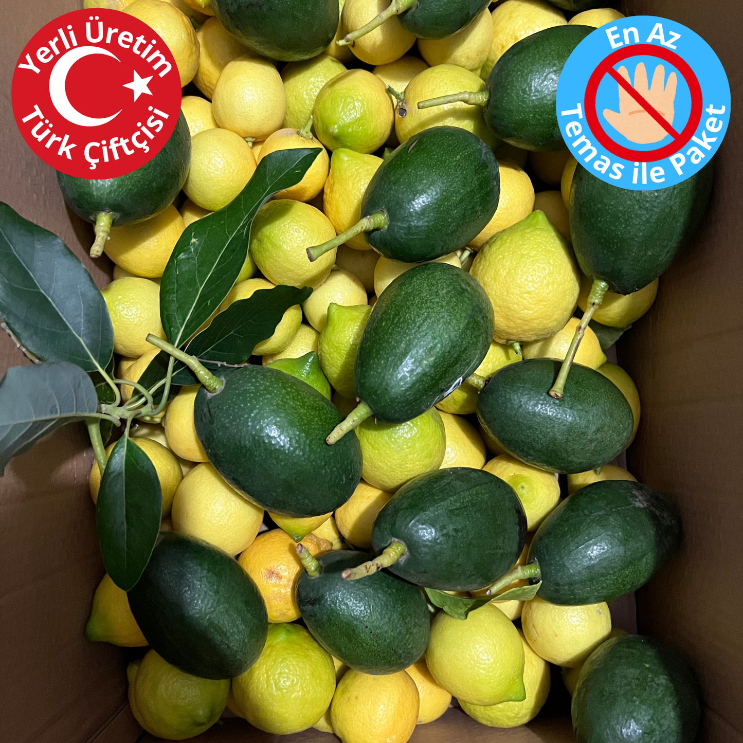 Premium Yerli Avokado 270-340 gr