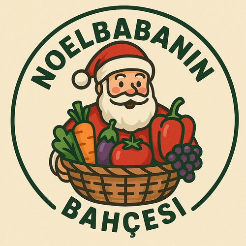 noelbabaninbahcesi.com