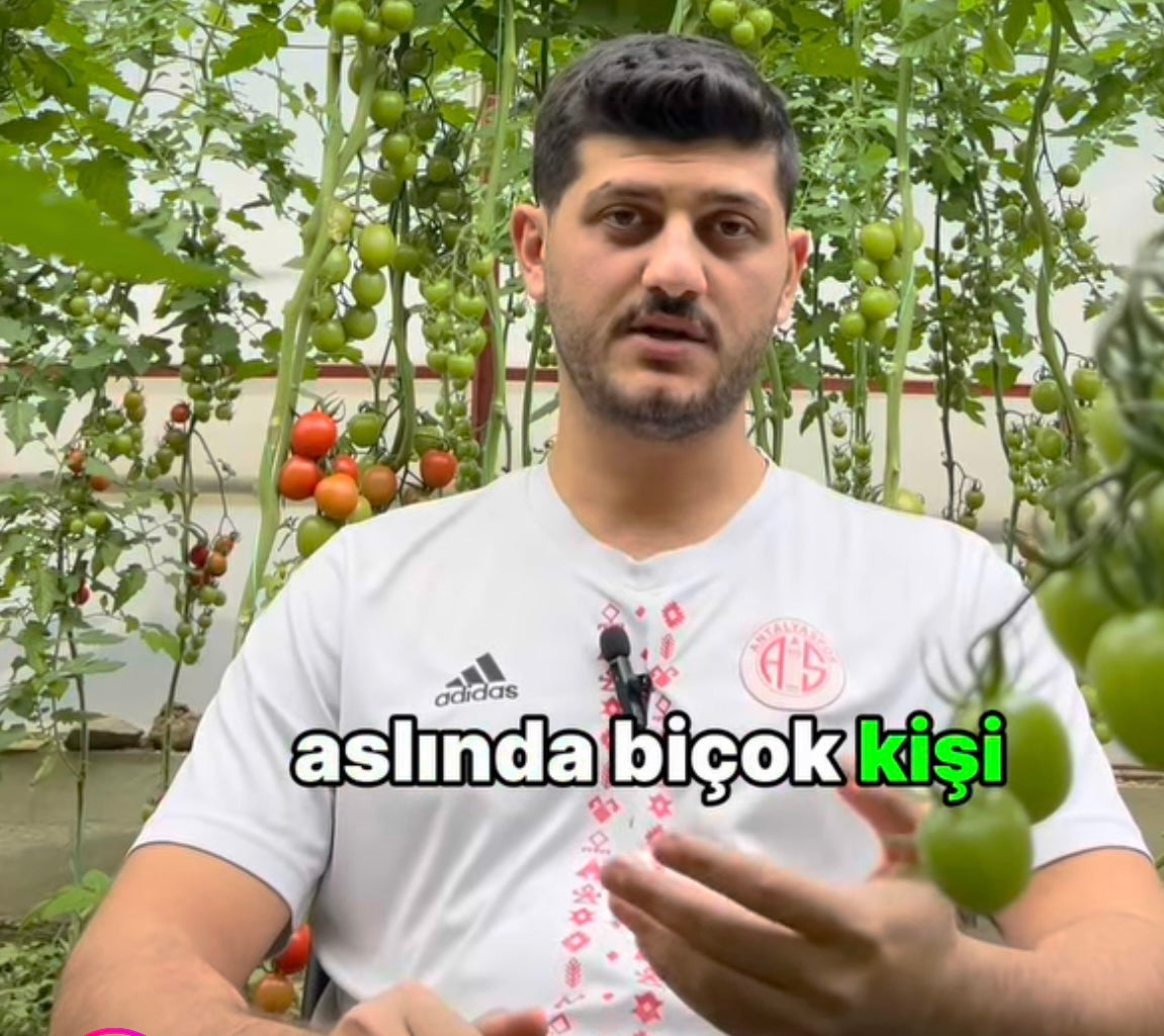 Videoyu yükle: 
